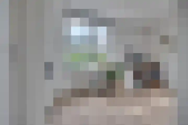 Vuursalamander 3 Amersfoort thumbnail 23