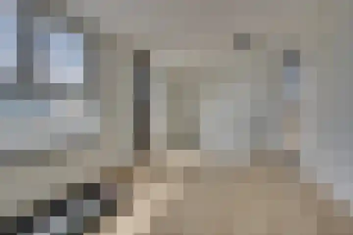 Vuursalamander 3 Amersfoort thumbnail 33