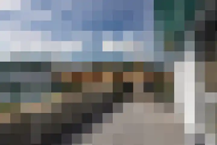 Vuursalamander 3 Amersfoort thumbnail 34