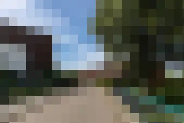 Vuursalamander 3 Amersfoort thumbnail 37