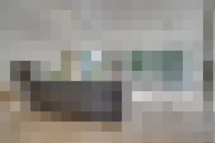 Vuursalamander 3 Amersfoort thumbnail 5