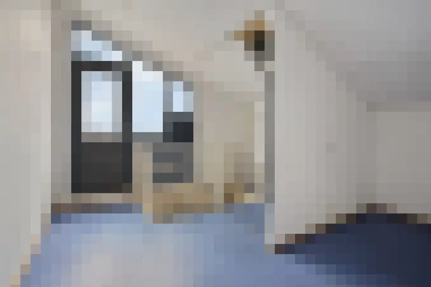 Vuursalamander 80 Amersfoort thumbnail 22