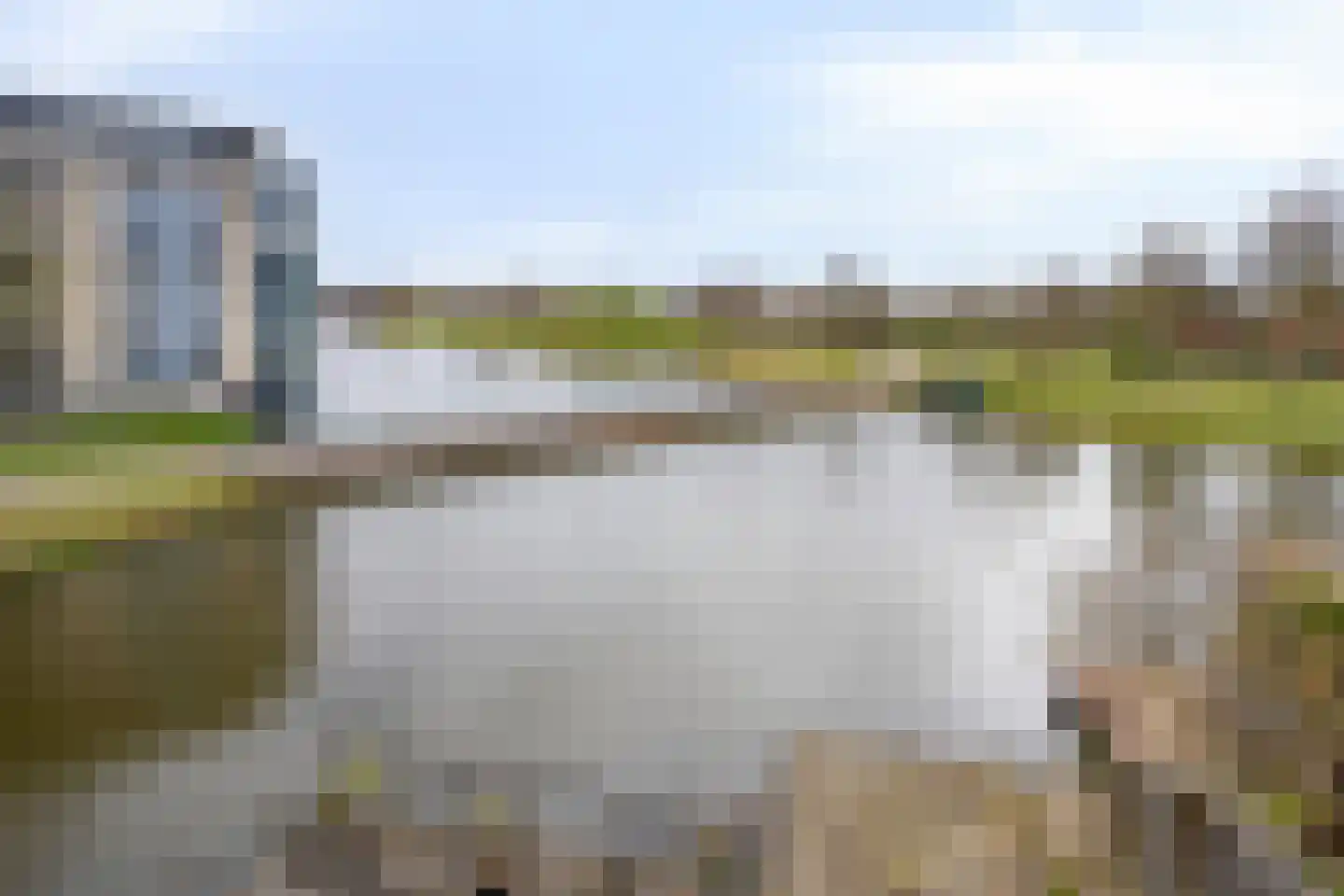 Vuursalamander 80 Amersfoort thumbnail 23