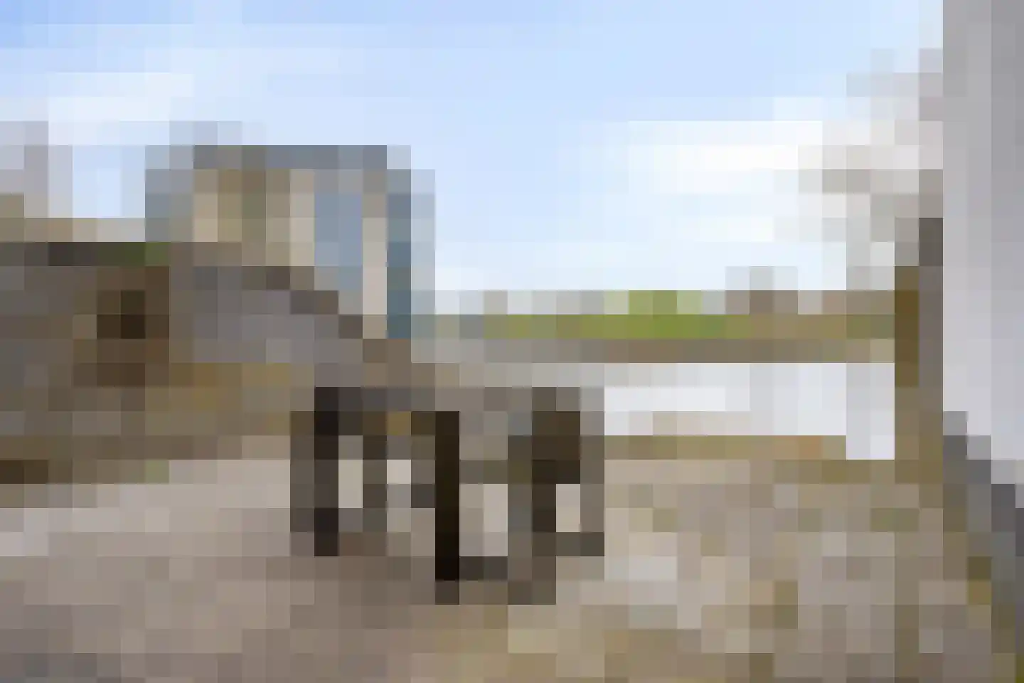 Vuursalamander 80 Amersfoort thumbnail 24