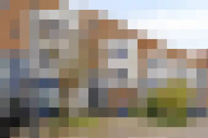 Vuursalamander 80 Amersfoort thumbnail 28