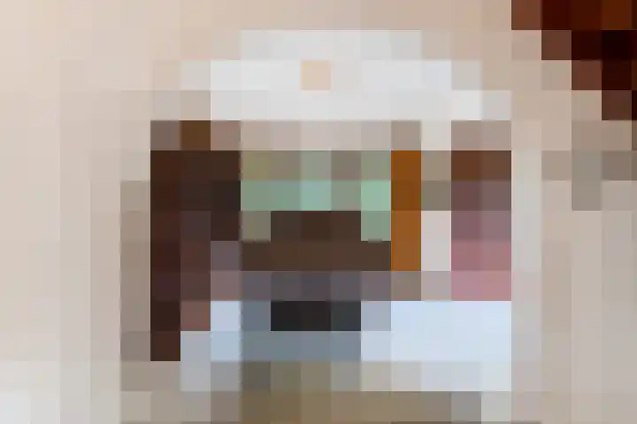 Vuursche Dreef 36 Hollandsche Rading thumbnail 18