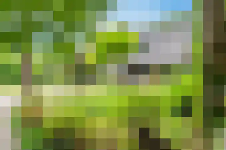 Vuursche Dreef 36 Hollandsche Rading foto 2