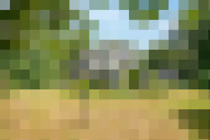 Vuursche Dreef 36 Hollandsche Rading thumbnail 4