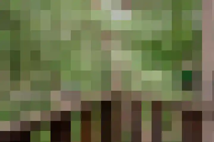 Vuursche Dreef 36 Hollandsche Rading thumbnail 48