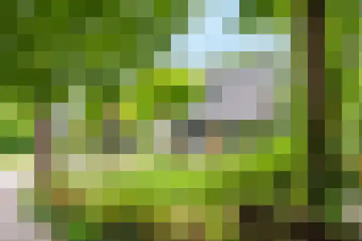 Vuursche Dreef 36 Hollandsche Rading thumbnail 5