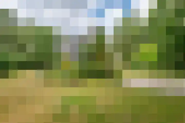 Vuursche Dreef 36 Hollandsche Rading thumbnail 57