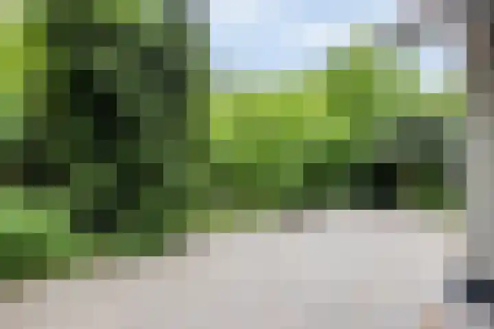 Vuursche Dreef 8 Hollandsche Rading thumbnail 25