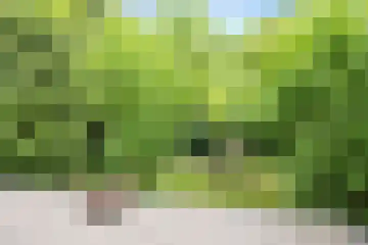 Vuursche Dreef 8 Hollandsche Rading thumbnail 26
