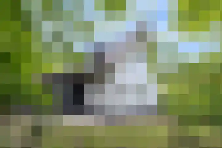 Vuursche Dreef 8 Hollandsche Rading thumbnail 28