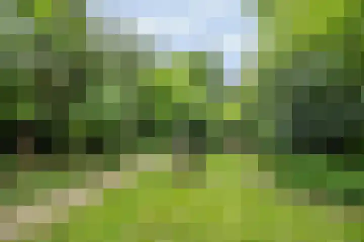 Vuursche Dreef 8 Hollandsche Rading thumbnail 29
