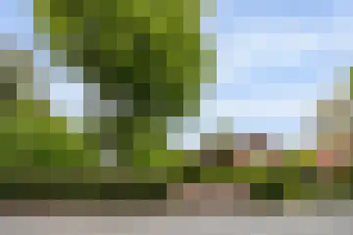 Vuursche Dreef 8 Hollandsche Rading thumbnail 31