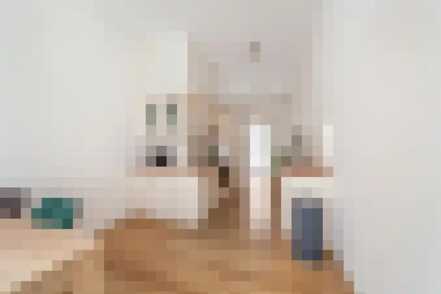 Vuursteen 11 Den Haag thumbnail 13