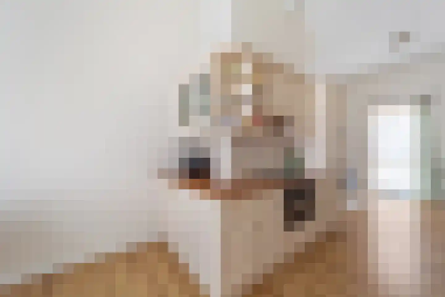 Vuursteen 11 Den Haag thumbnail 15