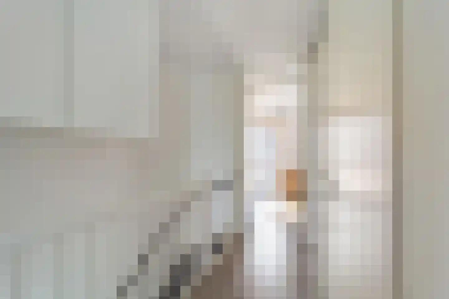 Vuursteen 11 Den Haag thumbnail 17