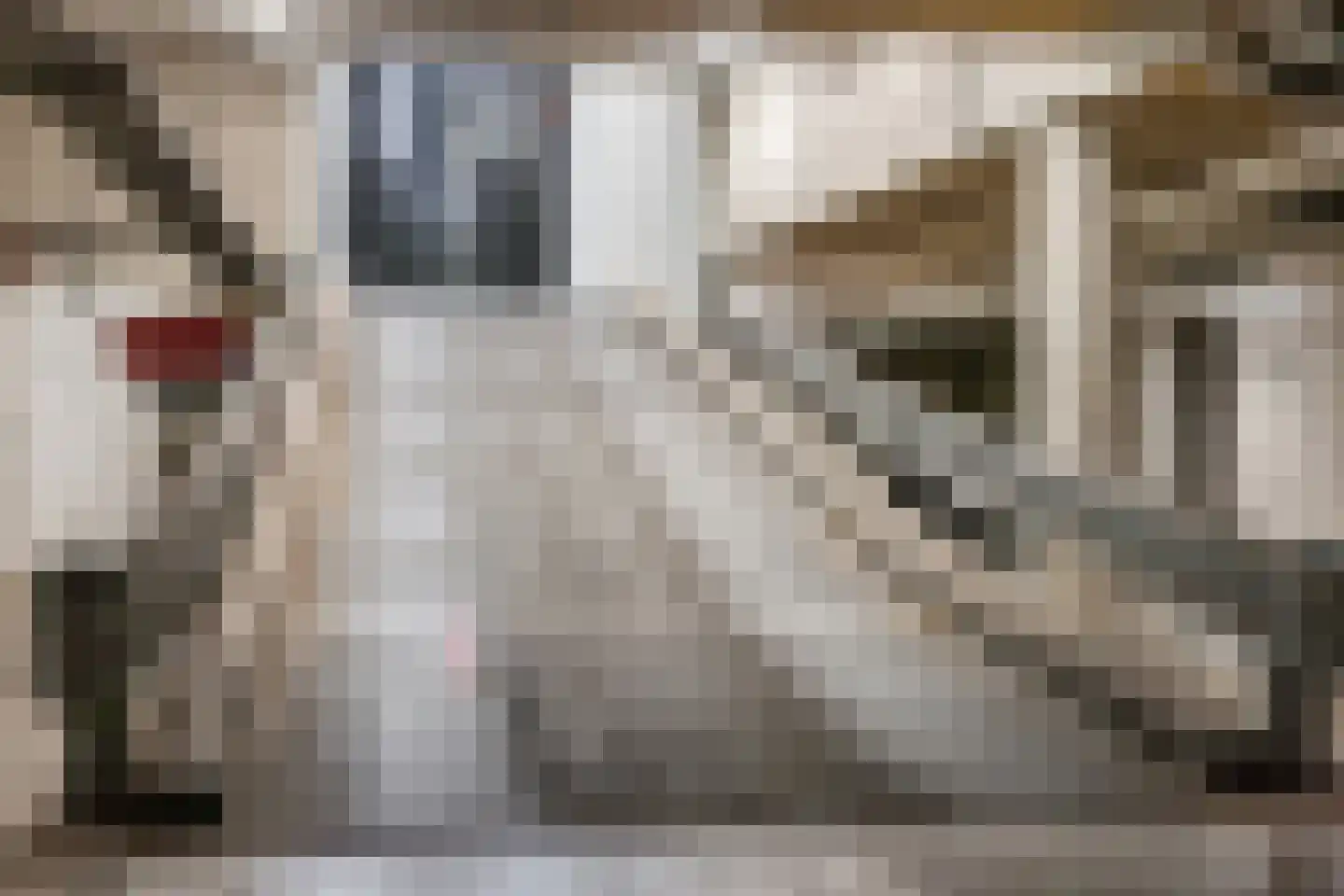 Vuursteen 11 Den Haag thumbnail 34