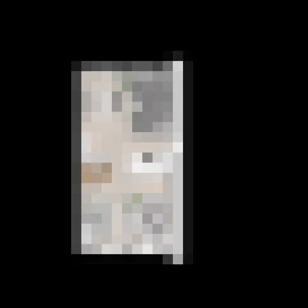 Vuursteen 13 Grootebroek thumbnail 7