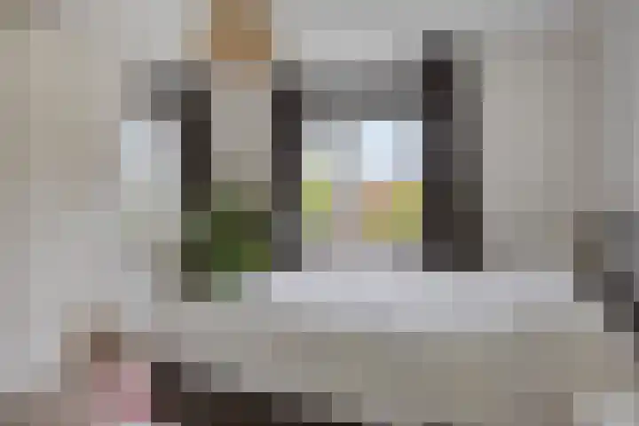 Vuursteen 17 Eindhoven thumbnail 15