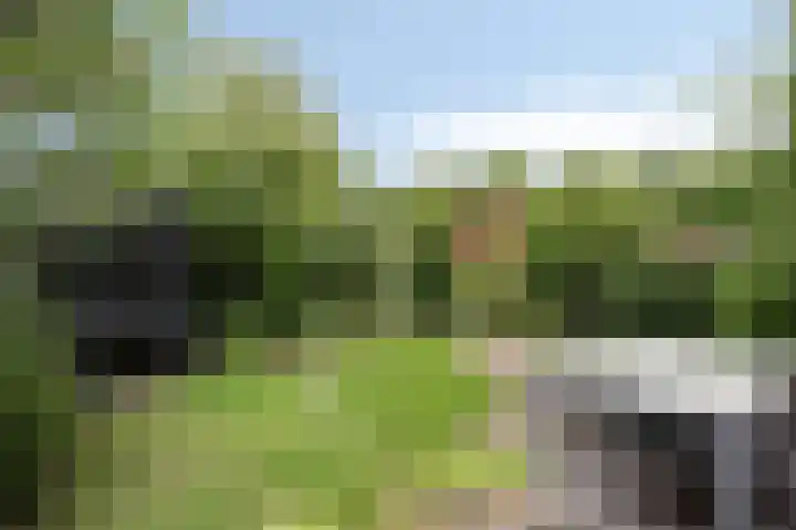 Vuursteen 17 Eindhoven thumbnail 26