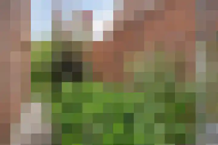 Vuursteen 17 Eindhoven thumbnail 29