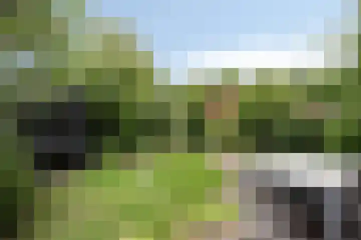 Vuursteen 17 Eindhoven thumbnail 4