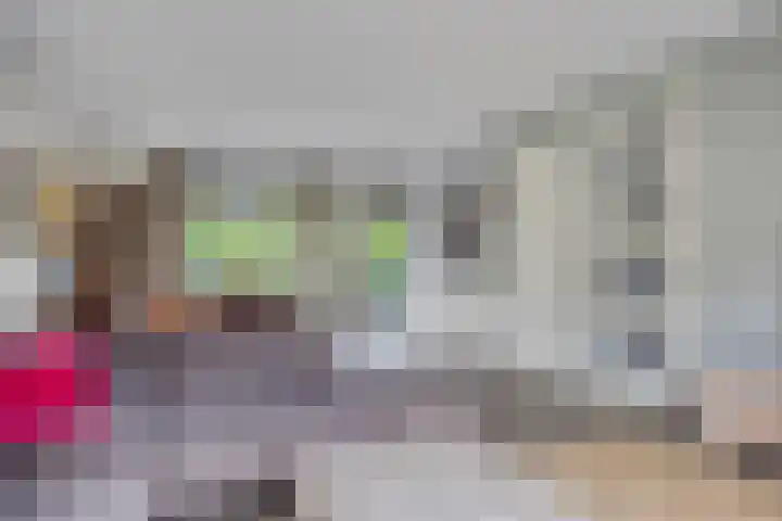 Vuursteen 17 Eindhoven thumbnail 7
