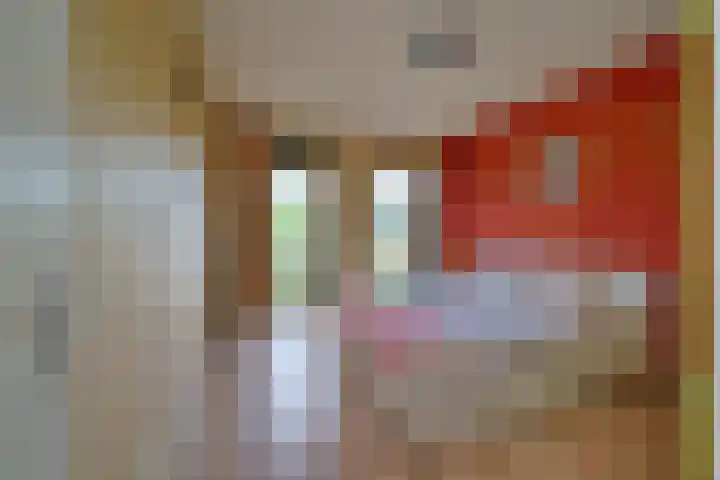 Vuursteen 27 Den Haag thumbnail 25