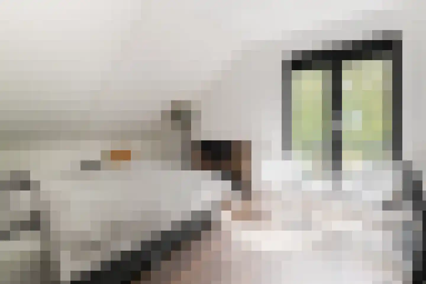 Vuursteen 3 Muiden thumbnail 21