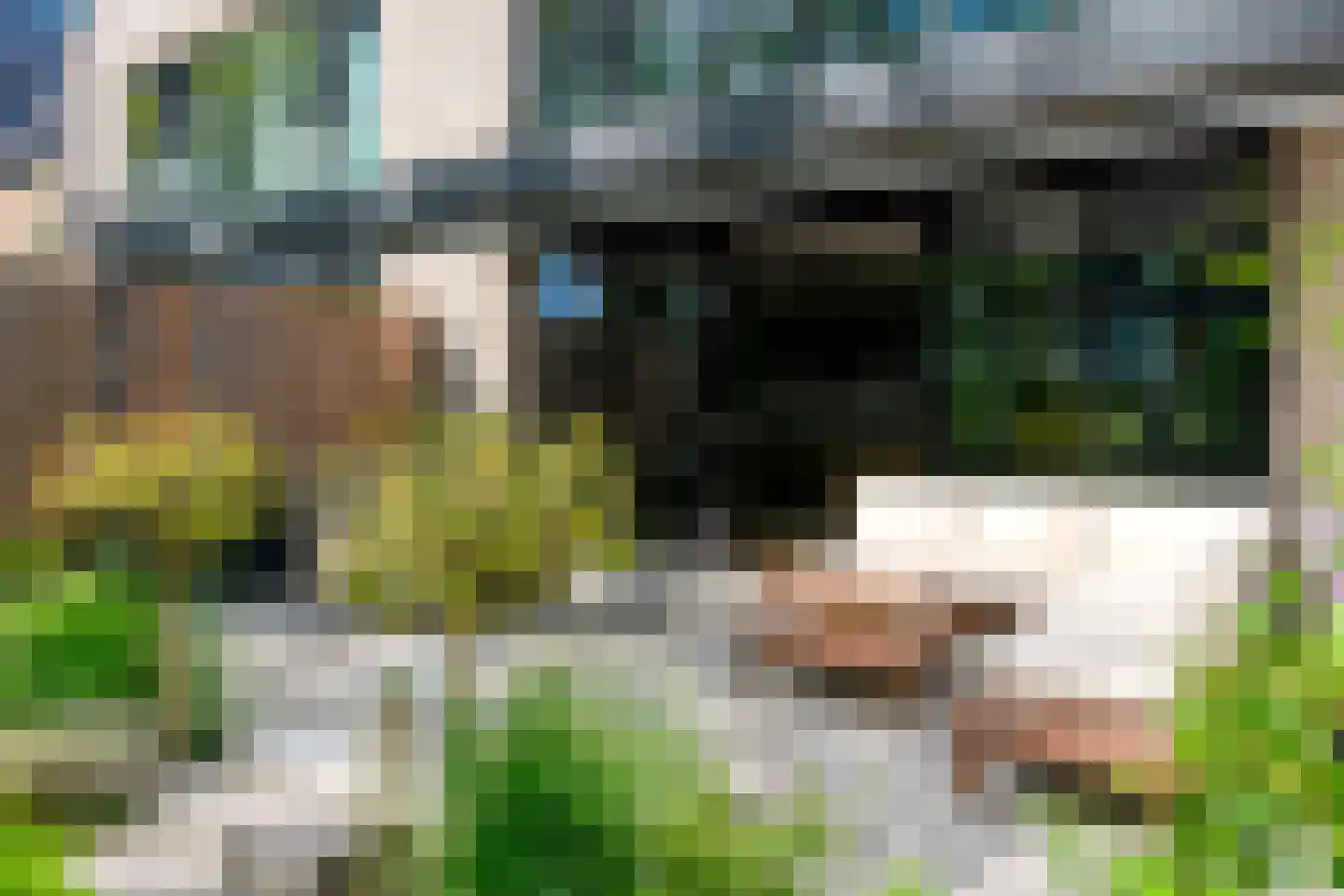Vuursteen 3 Muiden thumbnail 25