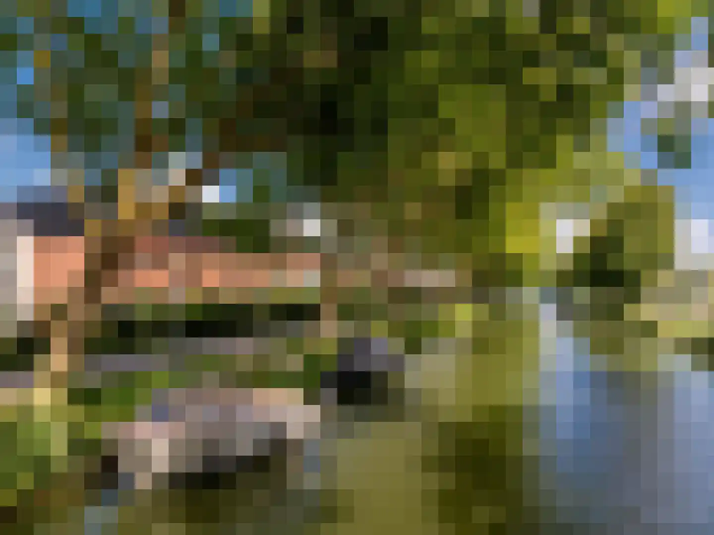 Vuursteen 3 Muiden thumbnail 27