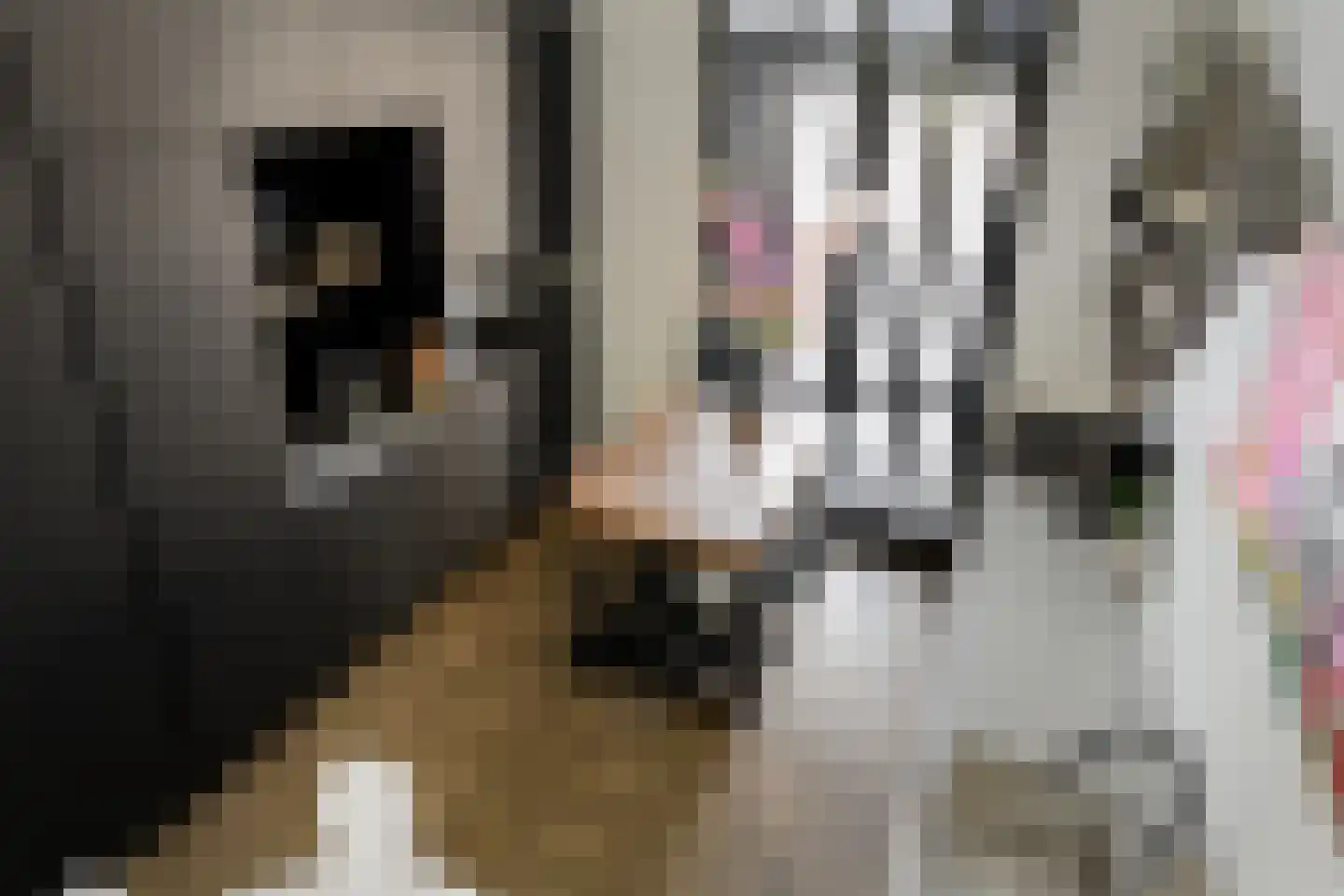 Vuursteen 3 Muiden thumbnail 4