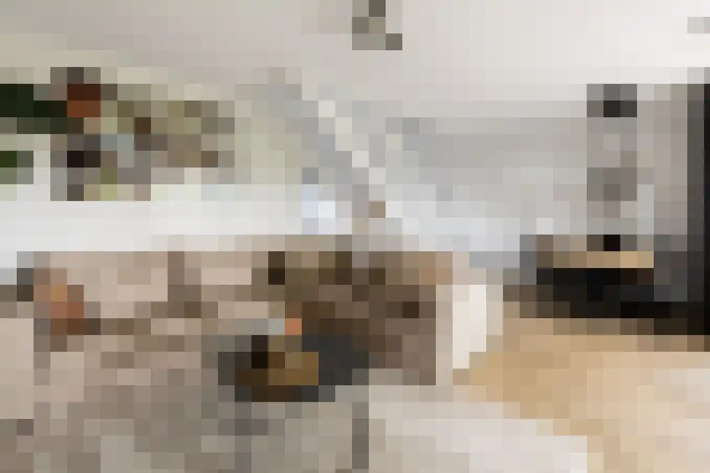 Vuursteen 3 Muiden thumbnail 5
