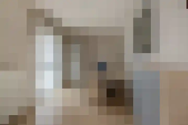Vuursteen 31 Den Haag thumbnail 15