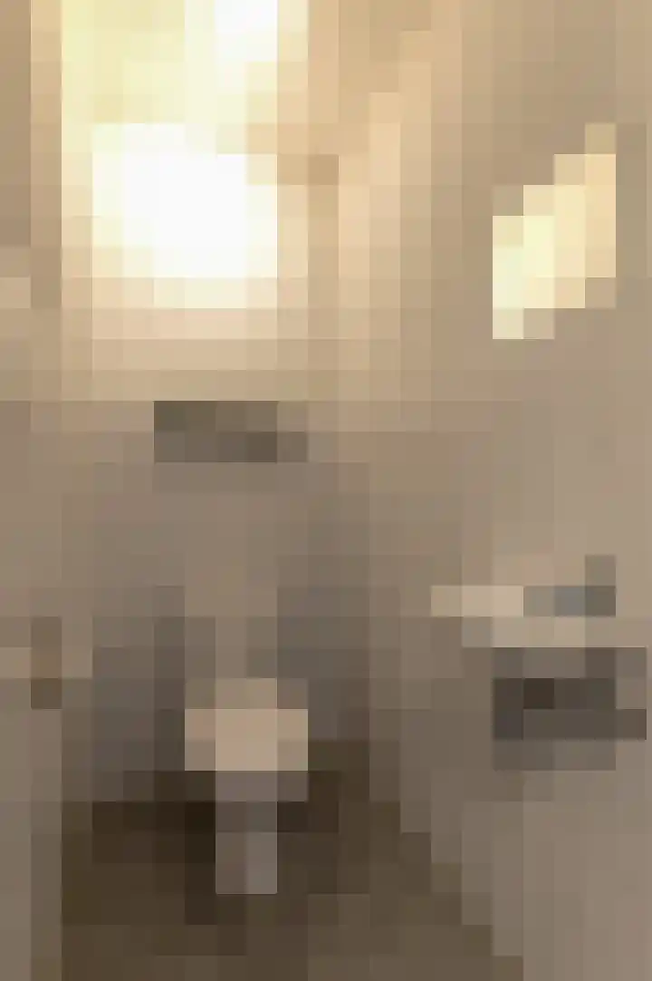 Vuursteen 37 Eersel thumbnail 6