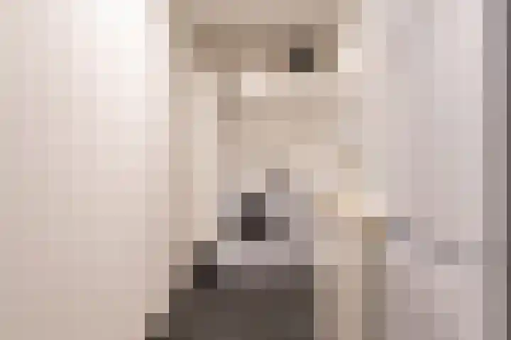 Screenshot of the website of www.vuursteenmakelaars.nl