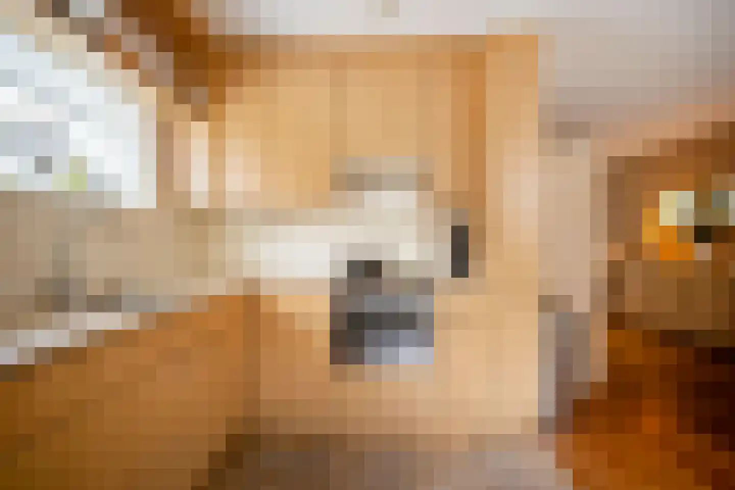 Vuursteenberg 38 Ede thumbnail 19