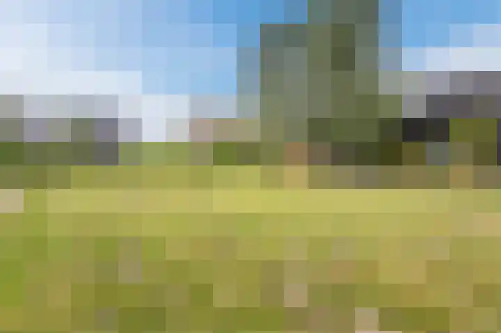 Vuursteenhof 37 Almere thumbnail 31