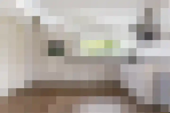 Vuursteenhof 37 Almere thumbnail 8