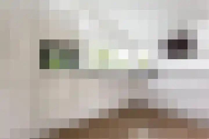 Vuursteenhof 37 Almere thumbnail 9