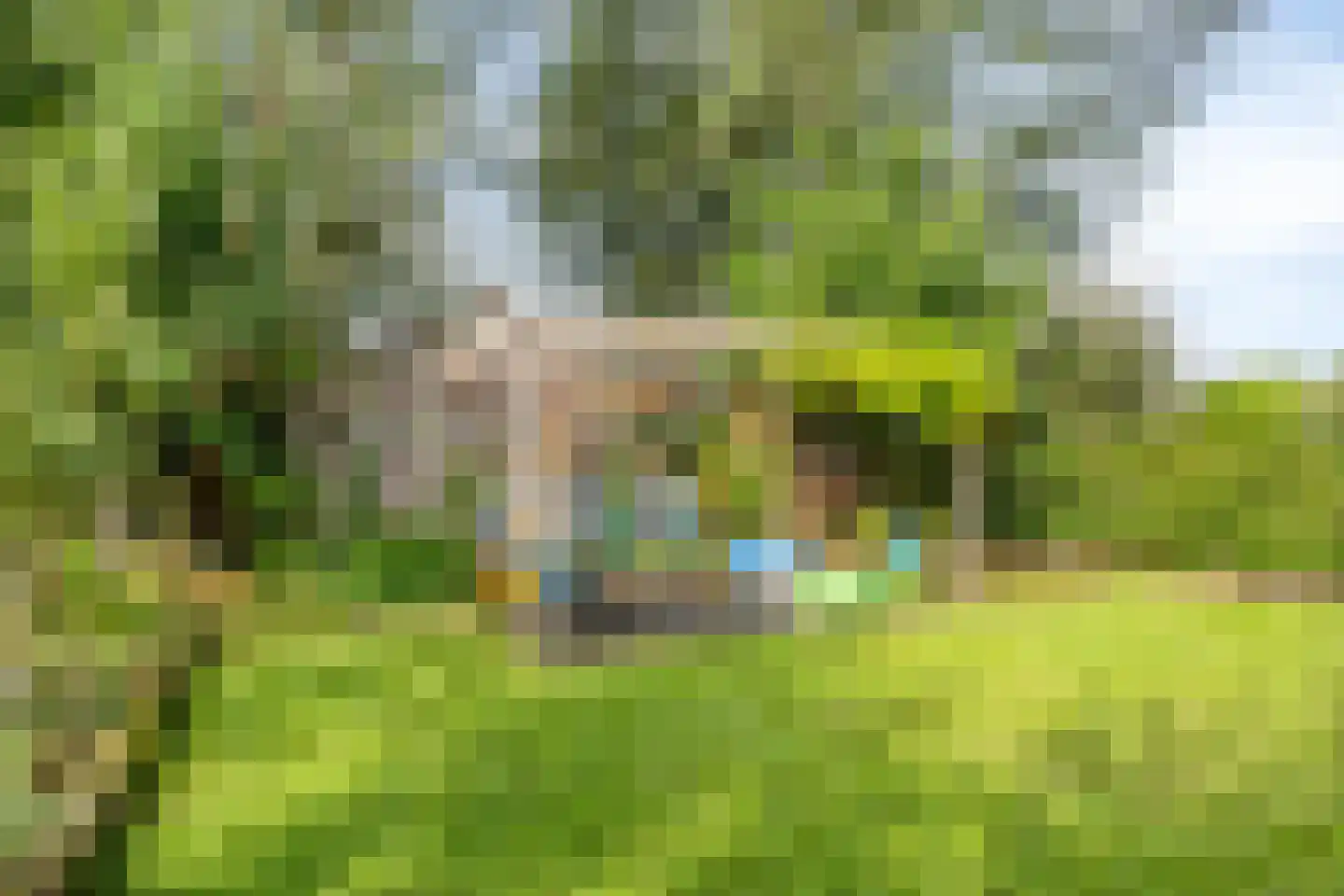 Vuursteenhof 77 Almere thumbnail 32