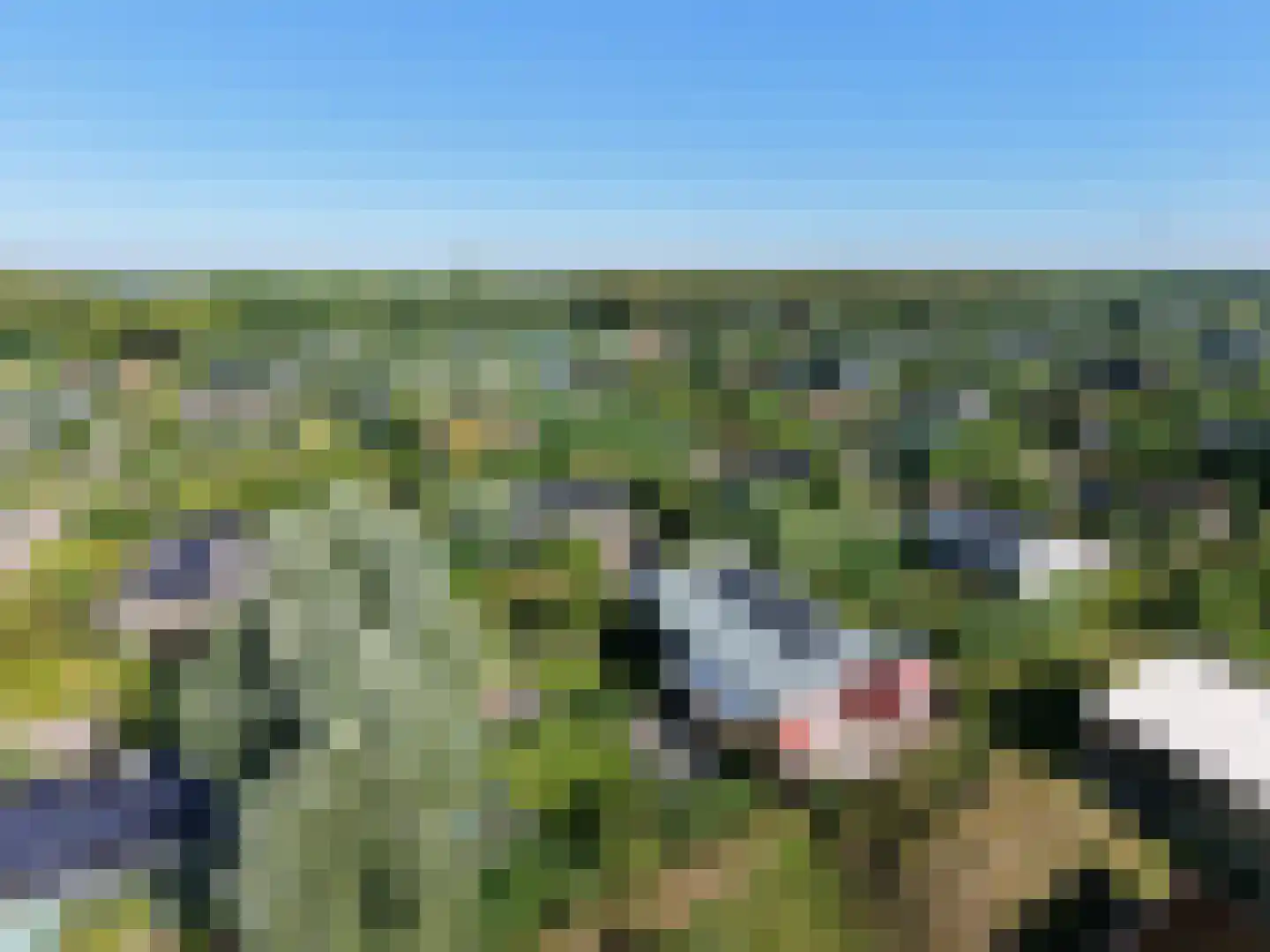 Vuursteenhof 77 Almere thumbnail 4