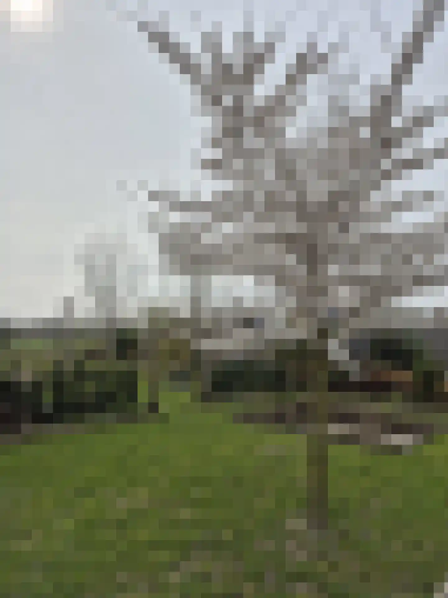 Vuursteenhof 77 Almere thumbnail 58