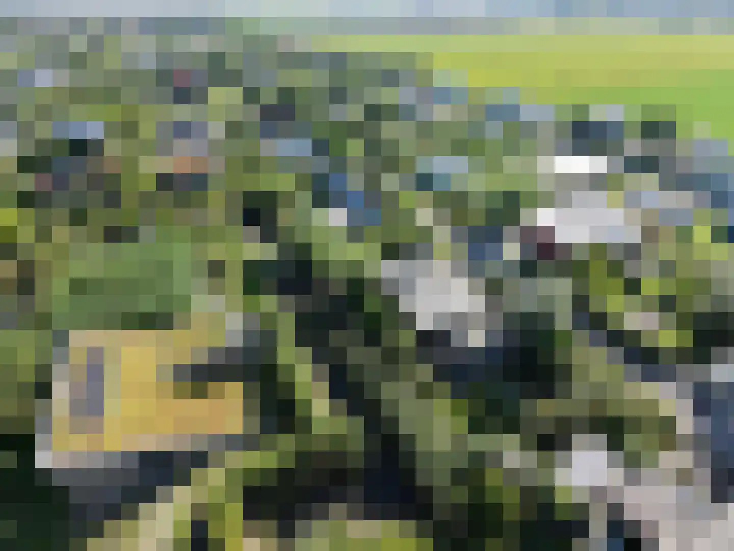 Vuursteenhof 77 Almere thumbnail 60