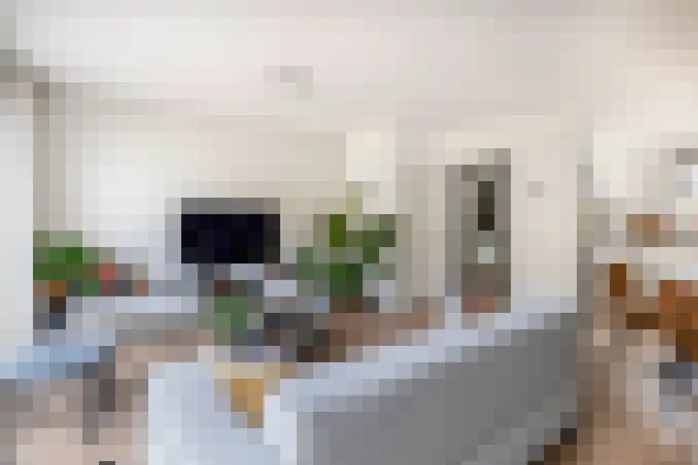 Vuursteenkreek 19 Spijkenisse thumbnail 14