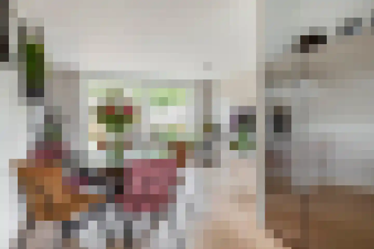 Vuursteenkreek 19 Spijkenisse thumbnail 17