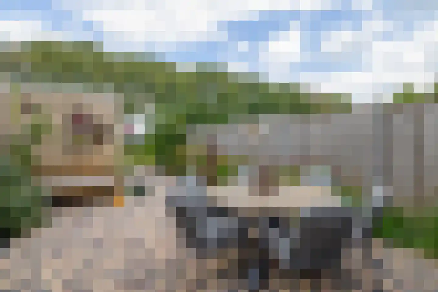 Vuursteenkreek 19 Spijkenisse thumbnail 22